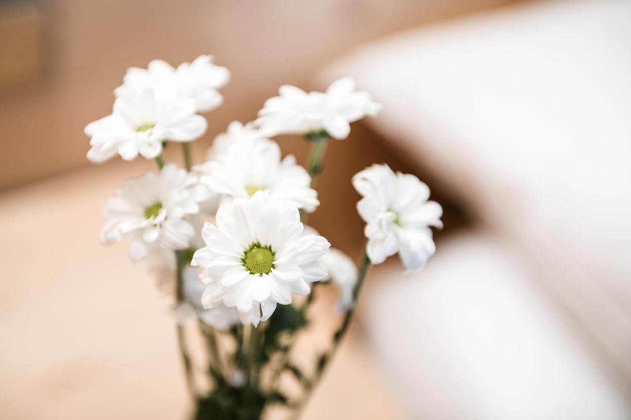 Residence Floralp 콜포소 외부 사진